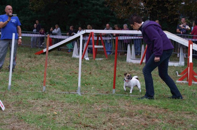 foire-haricots 2011-09-17et18